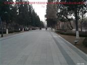 辽宁省,朝阳市,龙城区,半拉山街道,半拉山村