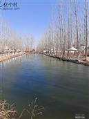 山东省,枣庄市,滕州市,滨湖镇,李仓村