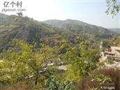 山西省,吕梁市,临县,刘家会镇,石坌则村