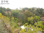 山西省,吕梁市,临县,刘家会镇,石坌则村