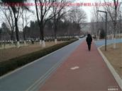辽宁省,朝阳市,龙城区,半拉山街道,半拉山村