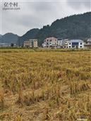 贵州省,黔东南州,岑巩县,羊桥乡,地坝村