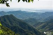 安徽省,六安市,舒城县,五显镇,石关村