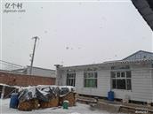 河北省,沧州市,河间市,故仙乡,宋留孝村