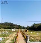 广东省,阳江市,江城区,埠场镇,那蓬村