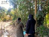 广东省,阳江市,江城区,埠场镇,那蓬村