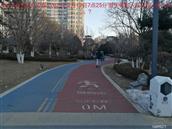 辽宁省,朝阳市,龙城区,半拉山街道,半拉山村