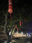 浙江省,宁波市,北仑区,大碶街道,共同村