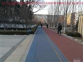 辽宁省,朝阳市,龙城区,半拉山街道,半拉山村