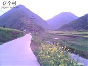 蛟龙村 