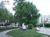 黑龙江省,黑河市,五大连池市,二龙山农场,二龙山农场第八管理区