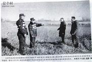 天津市,武清区,大黄堡乡,西丝窝村