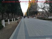 辽宁省,朝阳市,龙城区,半拉山街道,半拉山村