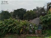 四川省,眉山市,丹棱县,顺龙乡,幸福村