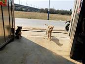 广东省,阳江市,江城区,埠场镇,那蓬村