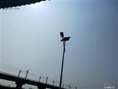 广东省,阳江市,江城区,埠场镇,那蓬村