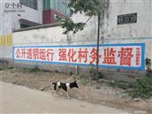 河南省,漯河市,舞阳县,章化乡,老官李村