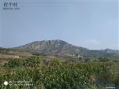 山西省,忻州市,原平市,中阳乡,大阳村