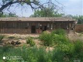 山西省,忻州市,原平市,中阳乡,大阳村