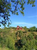 山西省,忻州市,原平市,中阳乡,大阳村