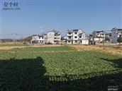 江西省,上饶市,婺源县,紫阳镇,王家墩村