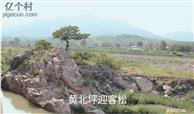 河北省,石家庄市,赞皇县,赞皇镇,北沟村