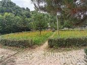 山西省,太原市,阳曲县,杨兴乡,杨兴村