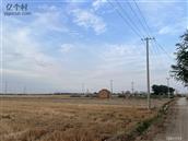 小刘家庄村 村后街田间景色