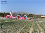 安徽省,安庆市,怀宁县,三桥镇,中联村
