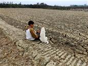 广东省,阳江市,江城区,埠场镇,那蓬村