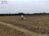 广东省,阳江市,江城区,埠场镇,那蓬村