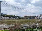 杨坊村 