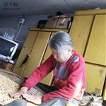 潘家窝棚村 