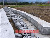 广西,河池市,宜州区,洛西镇,枫木村