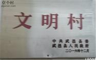 河北省,衡水市,武邑县,清凉店镇,尧头村