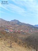 山东省,临沂市,蒙阴县,野店镇,梭庄村