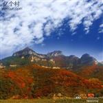 山东省,淄博市,博山区,源泉镇,麻庄村