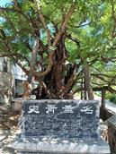 麻庄村 