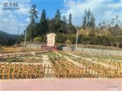湖南省,郴州市,桂东县,沙田镇,龙头村