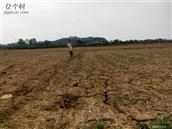 广东省,阳江市,江城区,埠场镇,那蓬村