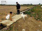 广东省,阳江市,江城区,埠场镇,那蓬村