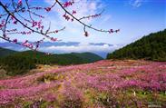重庆市,丰都县,三坝乡,卢家山村