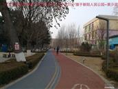 辽宁省,朝阳市,龙城区,半拉山街道,半拉山村