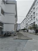 陕西省,安康市,汉滨区,关家镇,小关村