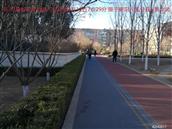 辽宁省,朝阳市,龙城区,半拉山街道,半拉山村