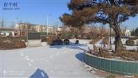 山东省,济南市,莱芜区,鹏泉街道,墨埠村