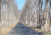 辽宁省,朝阳市,北票市,西官营镇,韩杖子村