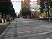 辽宁省,朝阳市,龙城区,半拉山街道,半拉山村