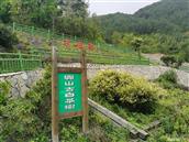 龙潭村 