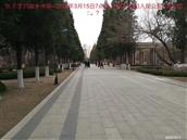 辽宁省,朝阳市,龙城区,半拉山街道,半拉山村